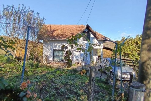 Dubrava-Jalševec-Mudifaji,   kuća 100 m2+vrt 3000 m2