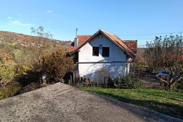 Dubrava-Jalševec-Mudifaji,   kuća 100 m2+vrt 3000 m2